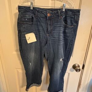 Time and Tru Dark Blue Crop Jeans